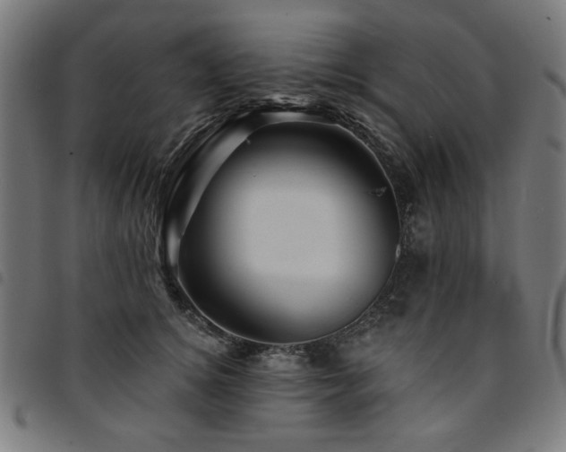 X0000095530756200712141502