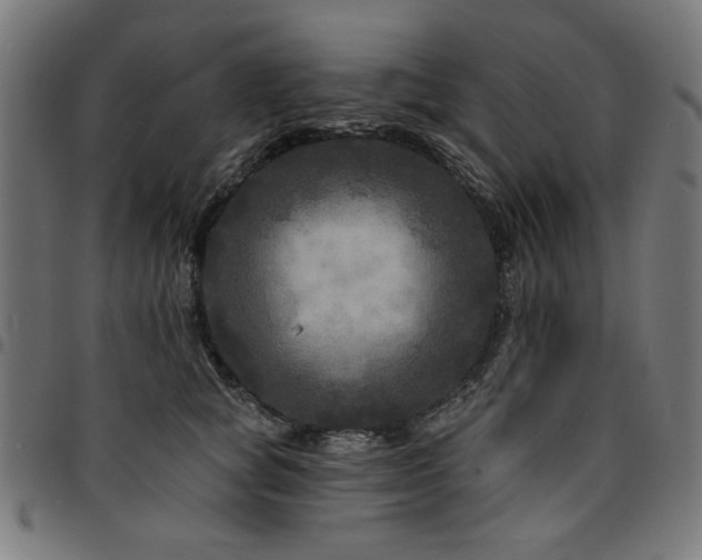 X0000095530757200712141502