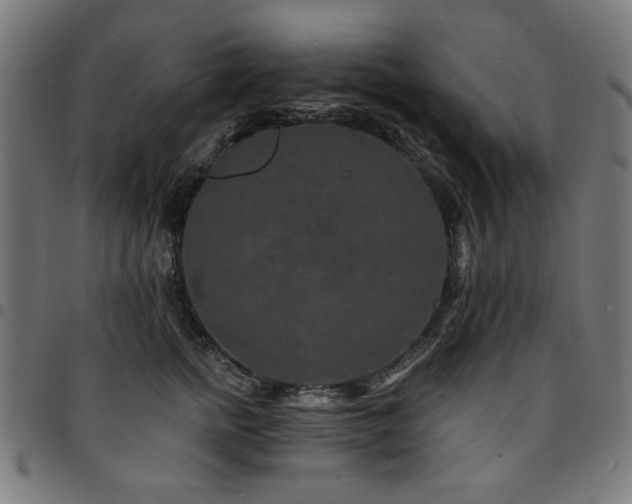 X0000095530758200712141502