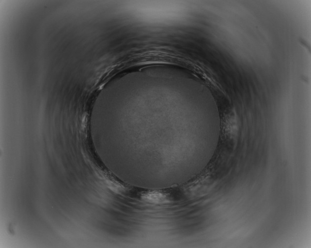 X0000095530759200712141502