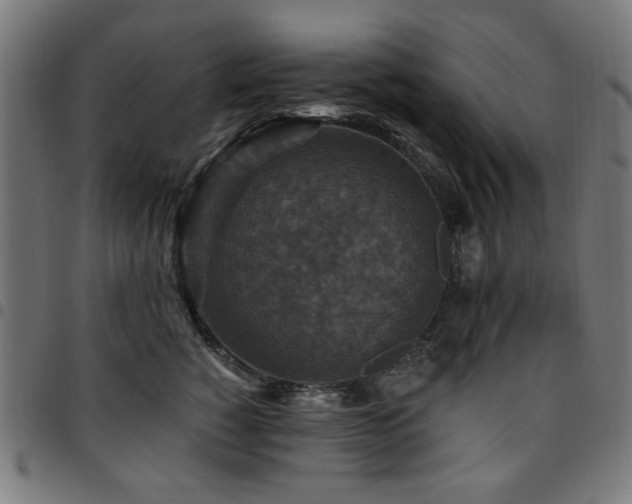 X0000095530760200712141502