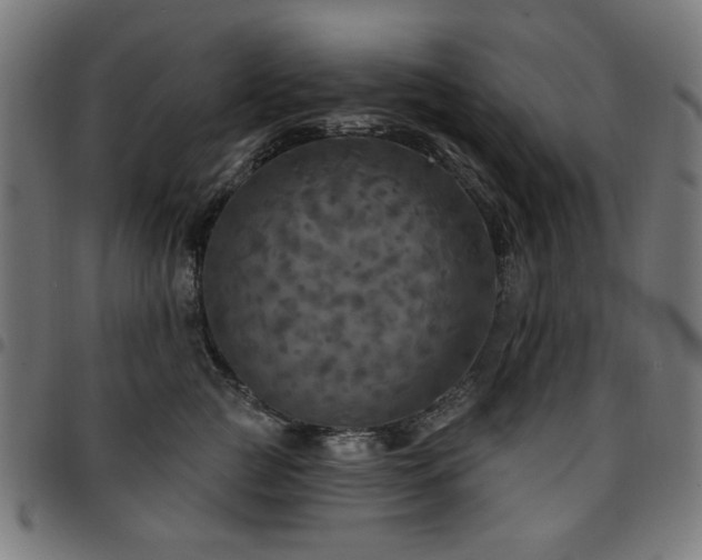 X0000095530761200712141502