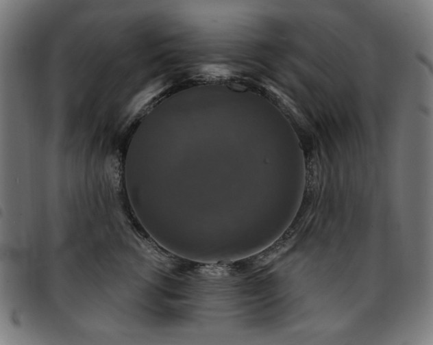 X0000095530762200712141502