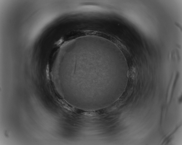 X0000095530763200712141502