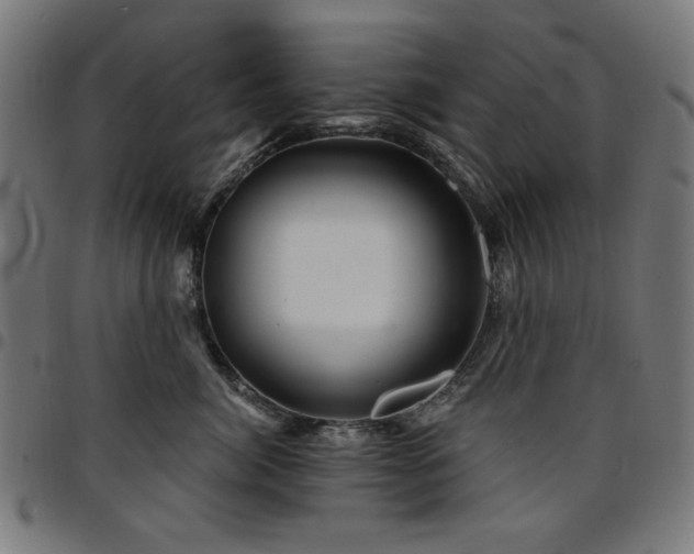X0000095530764200712141502