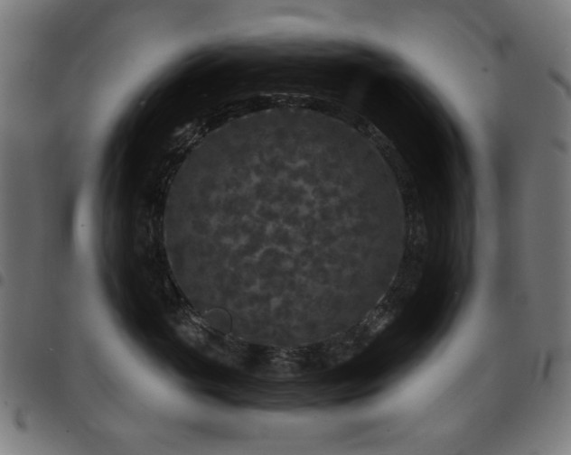 X0000095530765200712141502