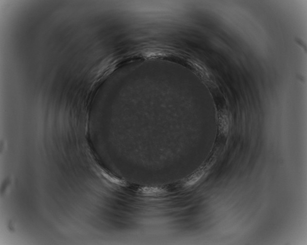 X0000095530766200712141502