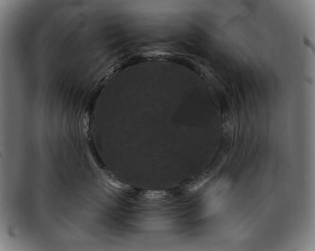 X0000095530767200712141502