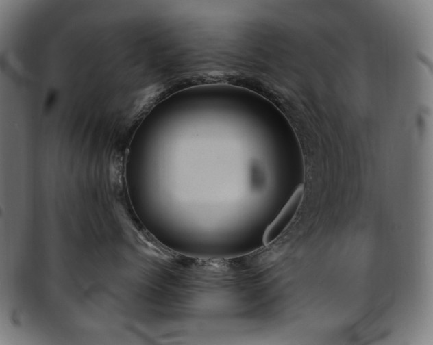 X0000095530768200712141502