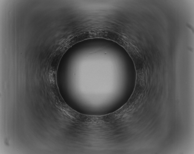 X0000095530770200712141501