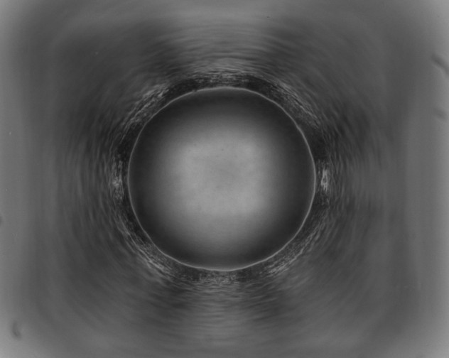 X0000095530771200712141501