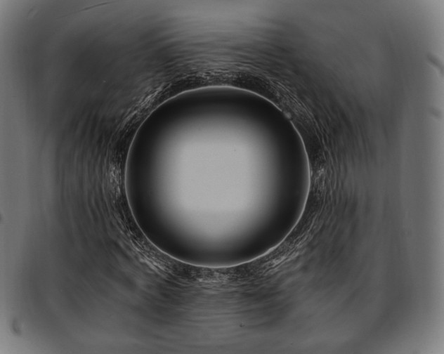 X0000095530772200712141501