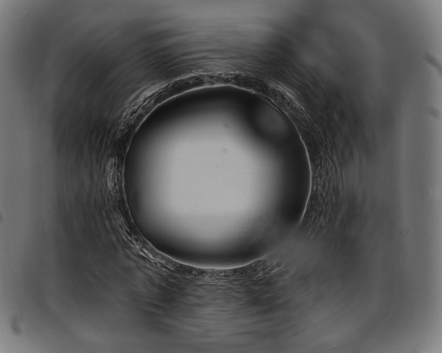X0000095530773200712141501