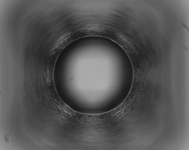 X0000095530774200712141501