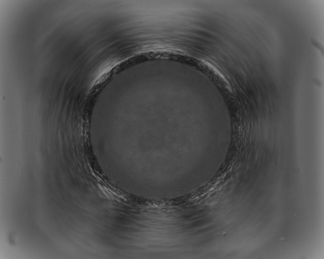 X0000095530775200712141501