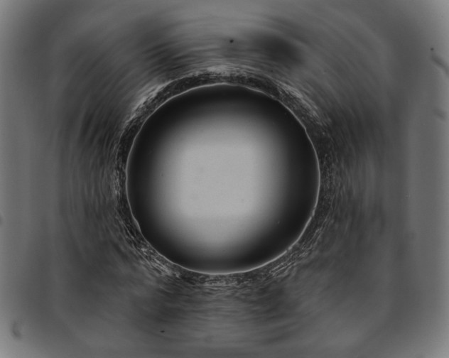 X0000095530776200712141501
