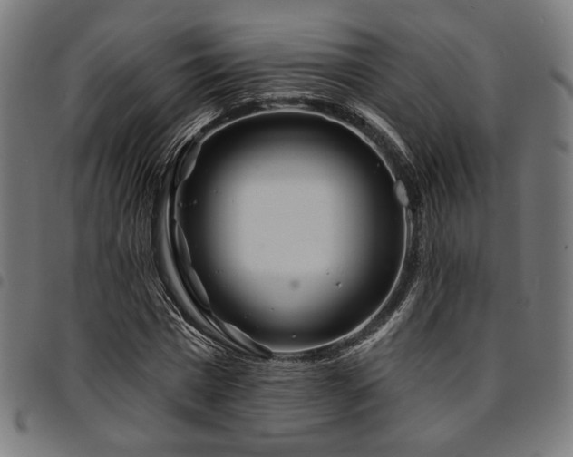 X0000095530777200712141501