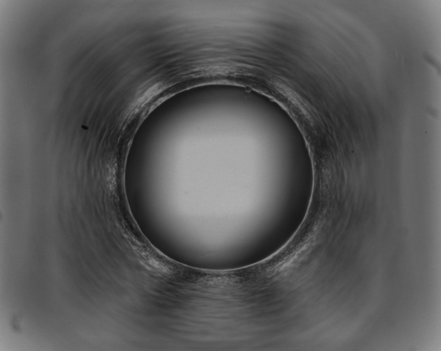 X0000095530778200712141501