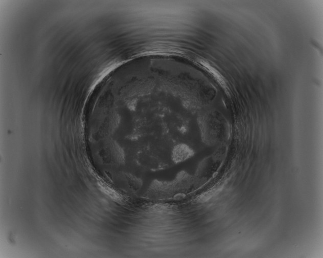 X0000095530779200712141501