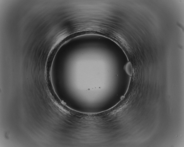 X0000095530780200712141501