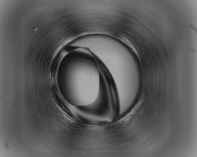 X0000095530781200712141501
