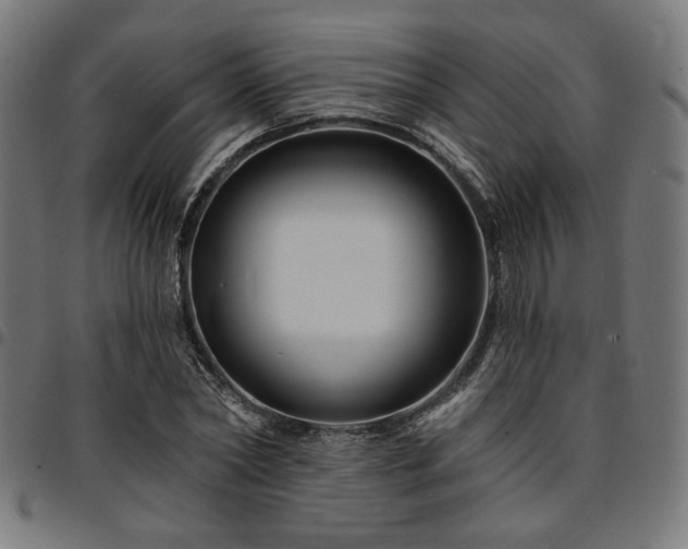 X0000095530782200712141501