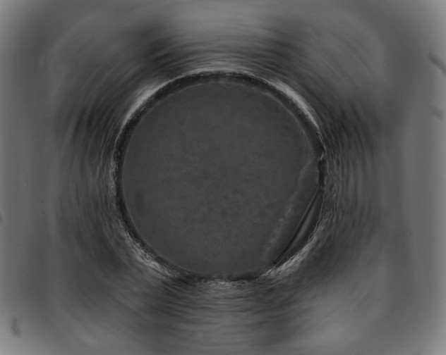 X0000095530783200712141501