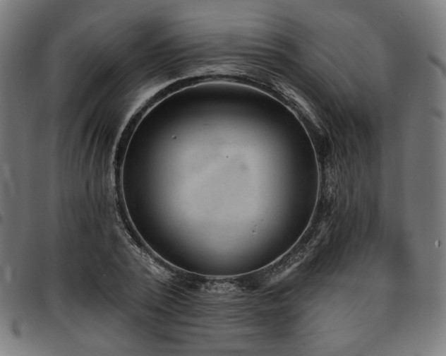 X0000095530784200712141501