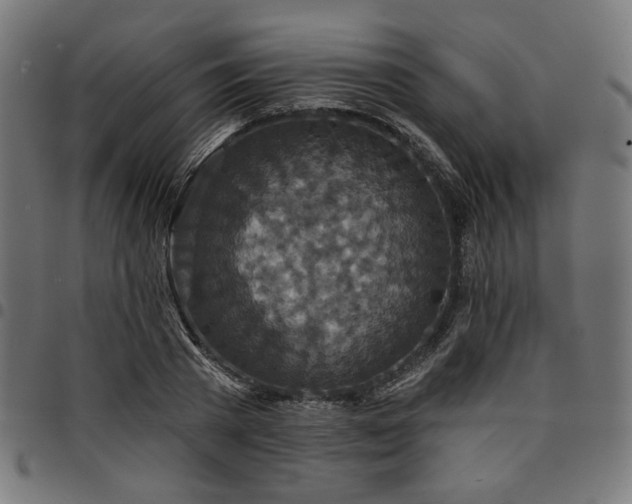 X0000095530785200712141501