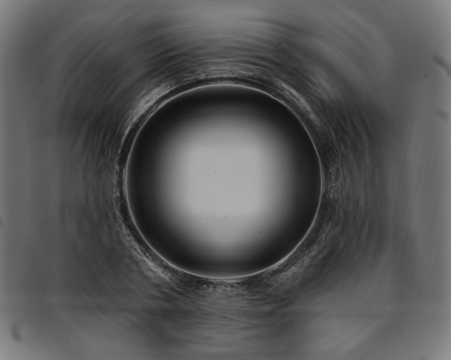 X0000095530786200712141501