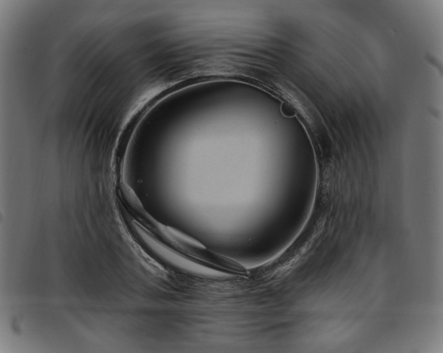 X0000095530787200712141501