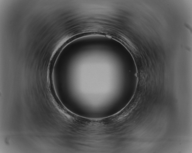 X0000095530788200712141501