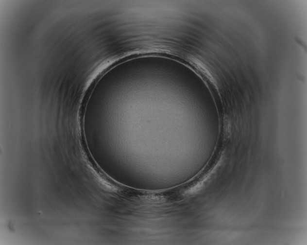 X0000095530789200712141501