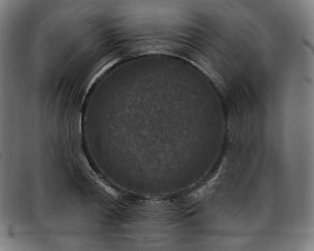 X0000095530790200712141501