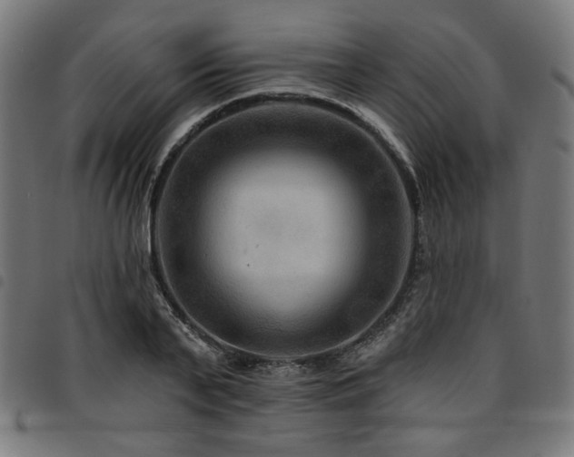 X0000095530791200712141501