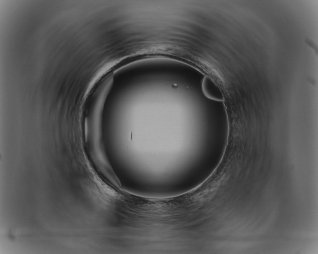 X0000095530792200712141501