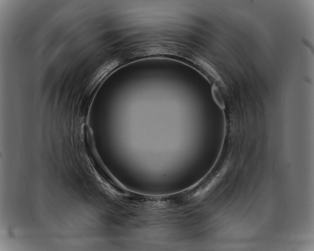 X0000095530793200712141501