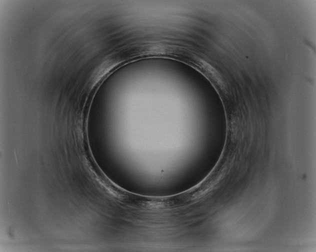 X0000095530794200712141501