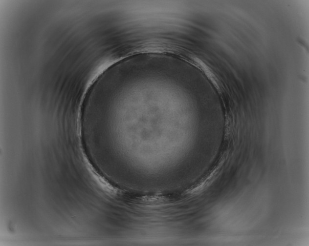 X0000095530795200712141501