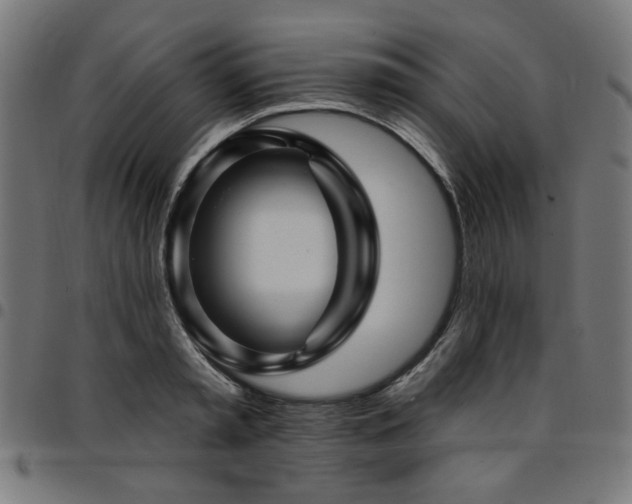 X0000095530797200712141501