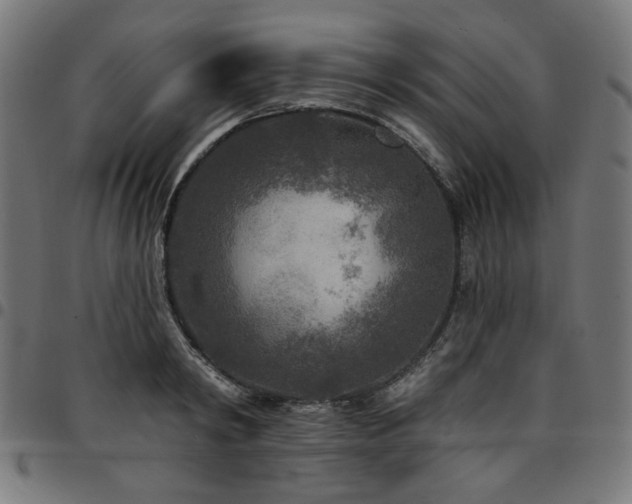X0000095530798200712141501