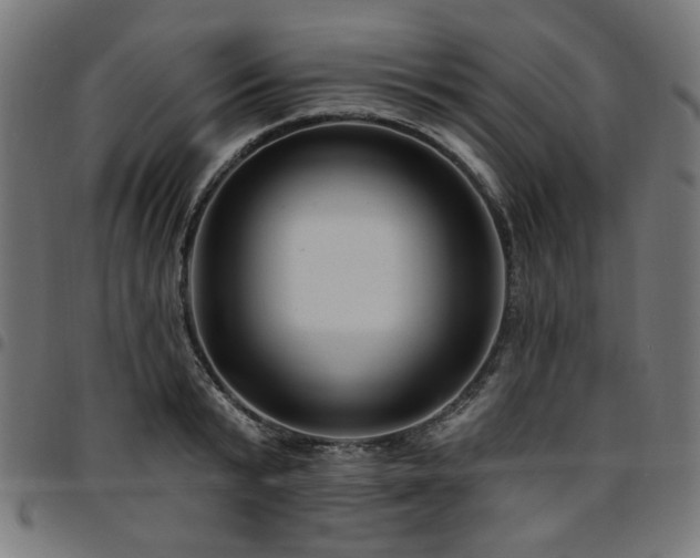 X0000095530799200712141501