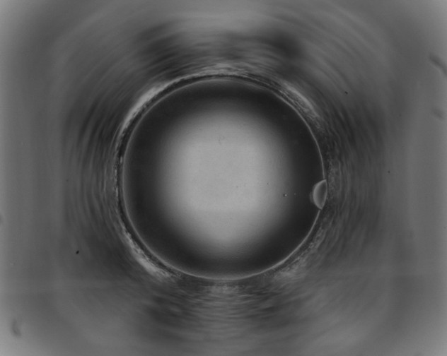 X0000095530800200712141501