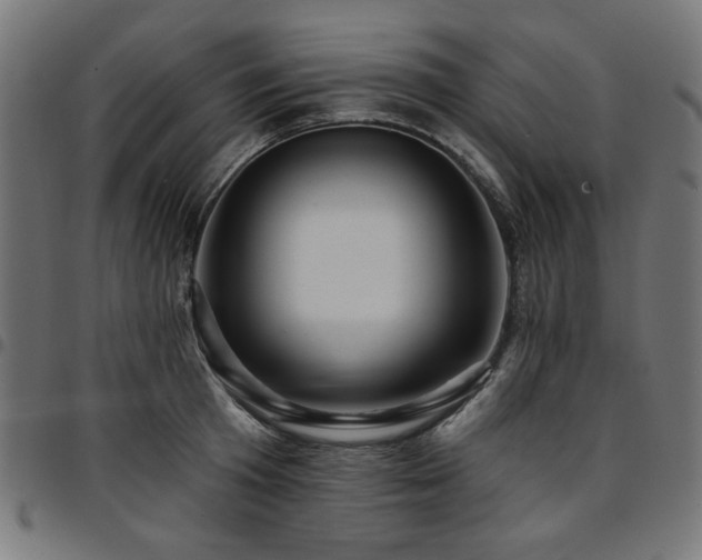 X0000095530801200712141501