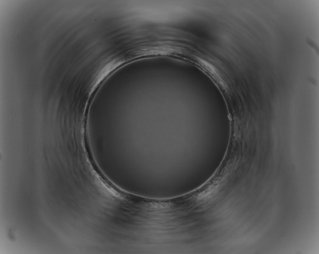 X0000095530802200712141501