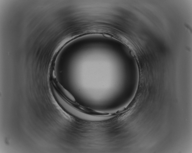 X0000095530803200712141501