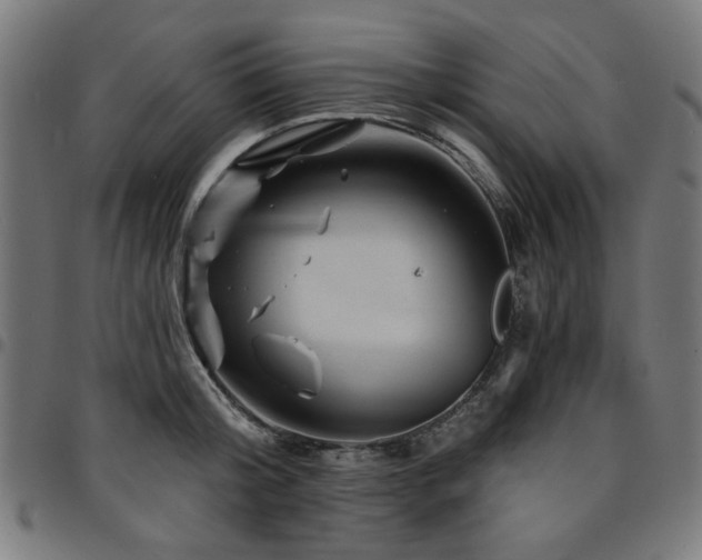 X0000095530804200712141501