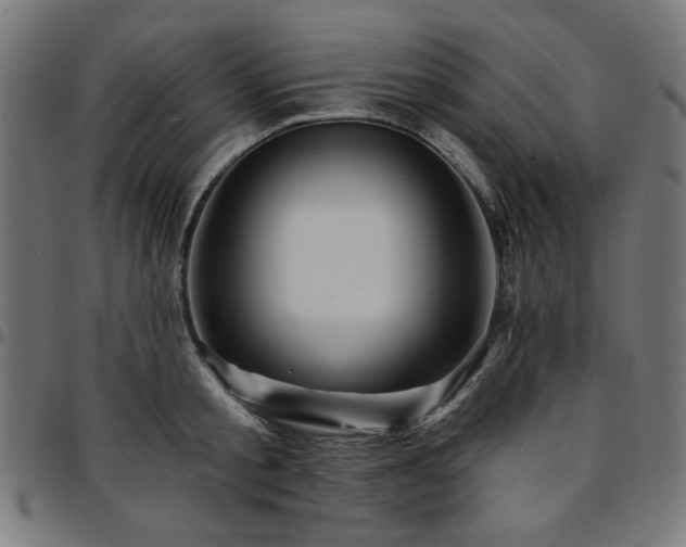 X0000095530805200712141501