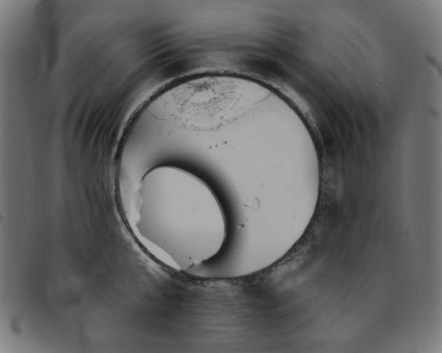 X0000095530807200712141501