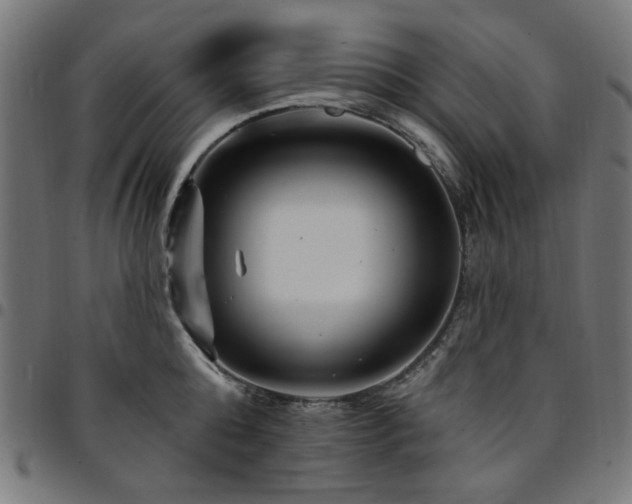 X0000095530808200712141501